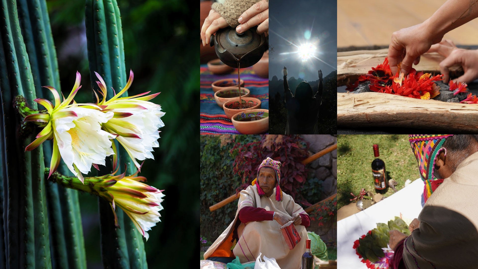 Embodying The Altar - Peru Retreat 2025