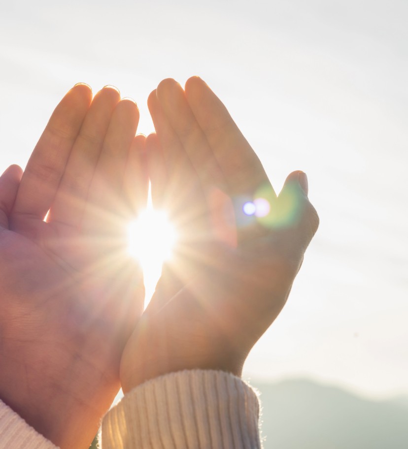 Entelechy Wep Page Images-14 Entelechy - About the Journey