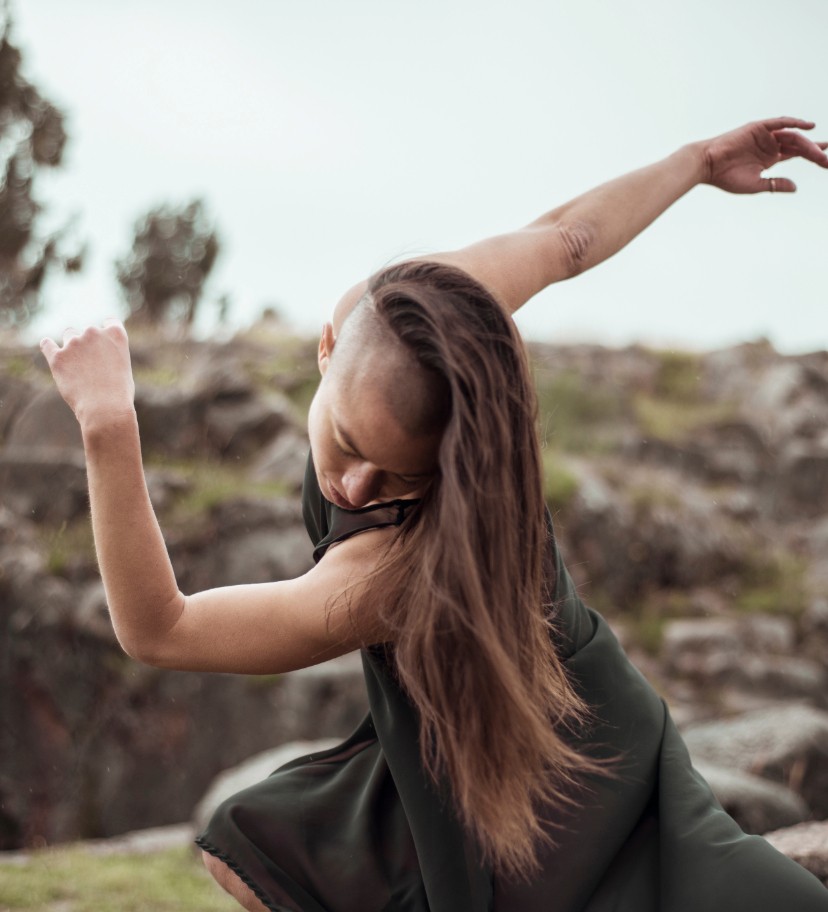 Entelechy Wep Page Images-5 Entelechy - About the Journey