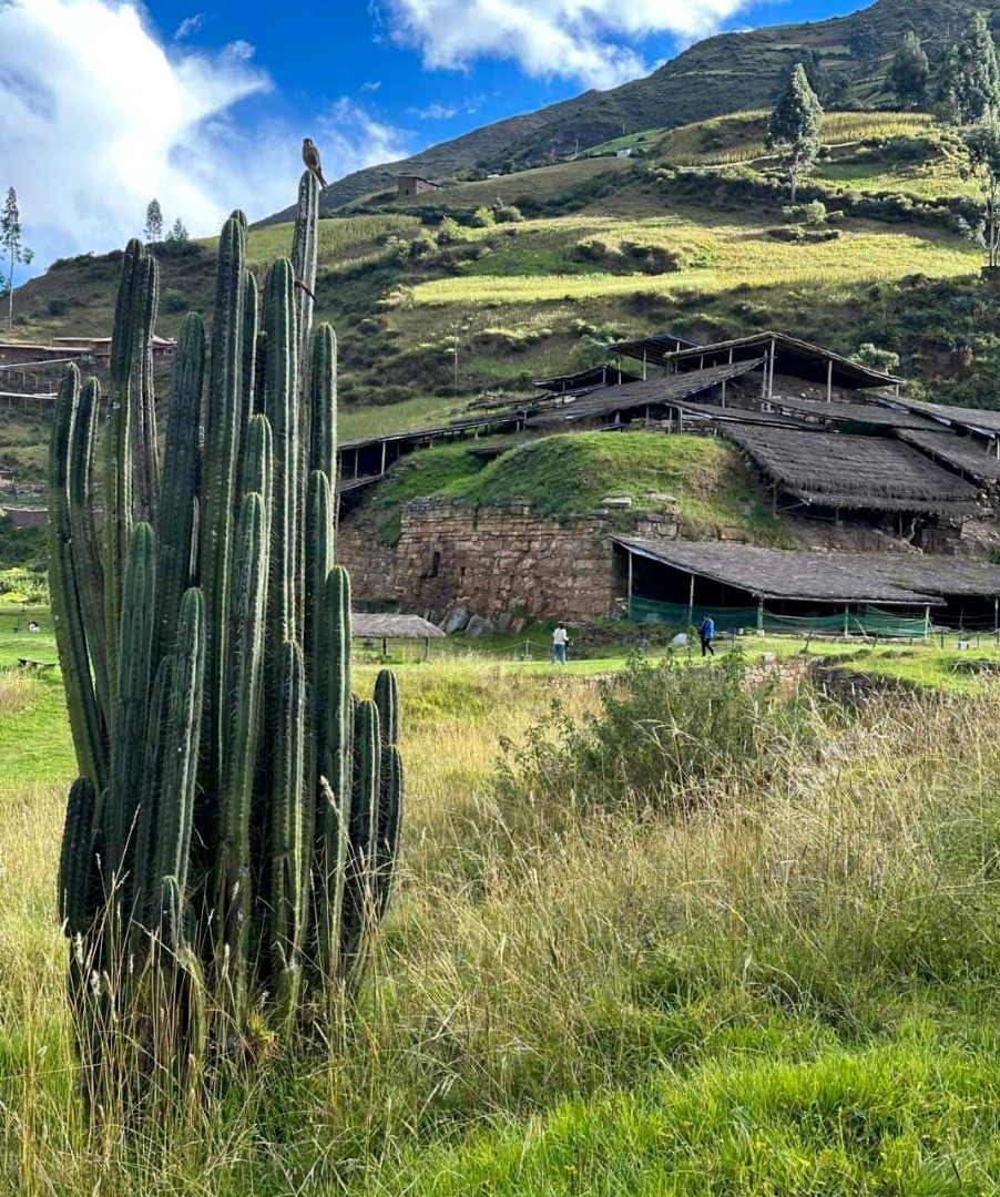 Peru Retreat  - Pachamama Sonqo - 2026